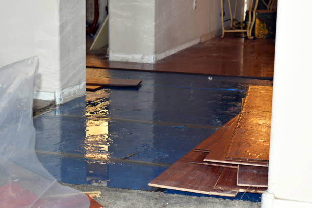 Professional Burst Pipe Cleanup technician working in Collbran, CO
