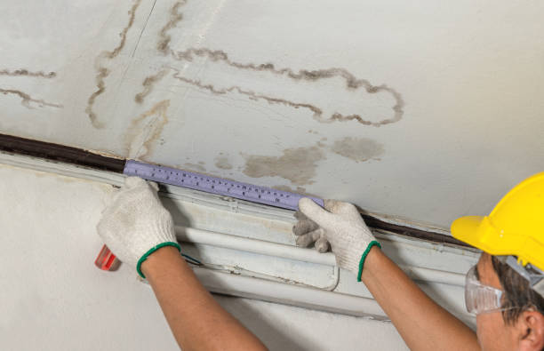 Reliable Burst Pipe Cleanup contractor in Collbran, CO by Water Damage Irwin